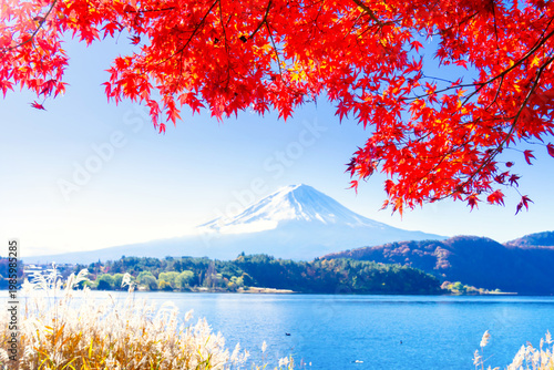 Bild auf Leinwand 富士山と紅葉