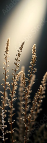 Delicate fronds reach skyward, a study in fractal elegance under crisp studio illumination,  detail,  straight on