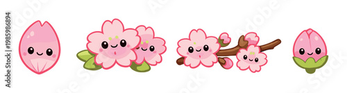 Kawaii cherry blossom flowers, buds and branch on backdrop