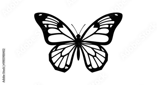 Black and white butterfly graphic design