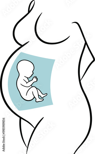 Pregnant woman silhouette with fetus in womb illustration Keywords: pregnancy, pregnant, woman