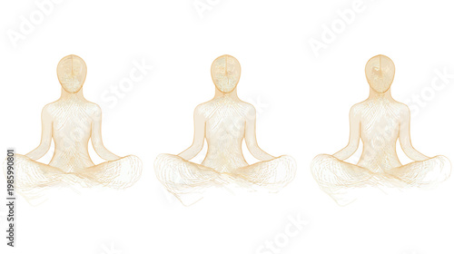 Meditative figures in lotus pose with subtle anatomical outlines on a white backdrop