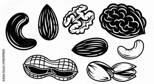 Collection of various nuts in black and white illustration