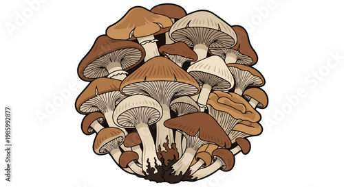 Cluster of edible mushrooms, brown and cream caps, detailed gills