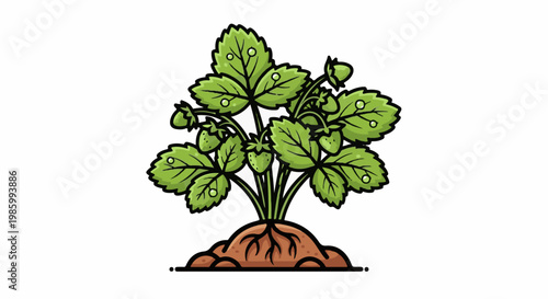 Cartoon strawberry plant with developing fruits and leaves