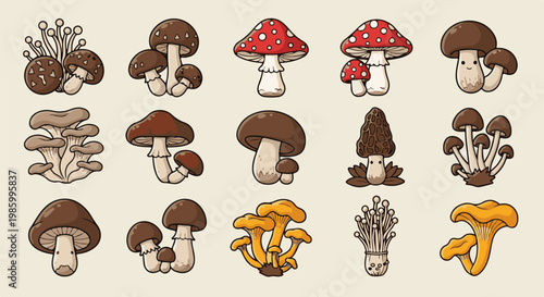 Collection of cute, illustrated mushrooms in various shapes and colors
