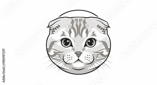 Close-up illustration of a cute, round-faced Scottish Fold cat's head, gray tabby markings