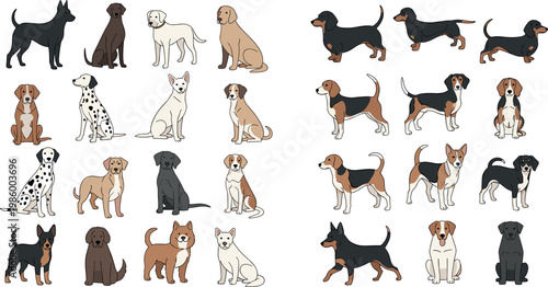 Cute Cartoon Dog Breeds Collection Set with Dalmatian Beagle Dachshund Labrador and More Isolated Vector Illustration