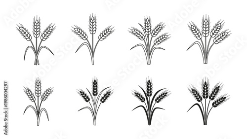 Eight variations of wheat or grain stalks grouped into bouquets, presented in both outline and filled styles.