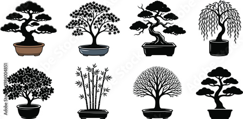 Species Specific Bonsai Tree Silhouette Vector Set
