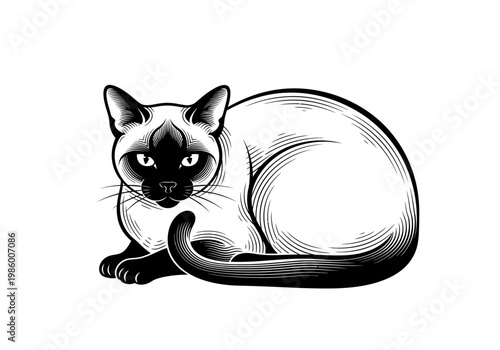 Elegant Siamese Cat Illustration in Vintage Linocut Style - Minimalist Black and White Woodcut Engraving of a Sitting Feline - Isolated Vector Art for Graphic Design