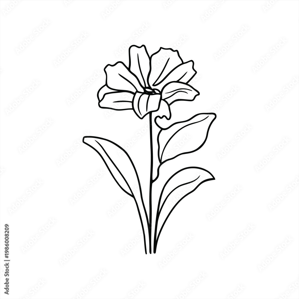 Obraz premium A beautiful illustration of a flower with leaves standing alone