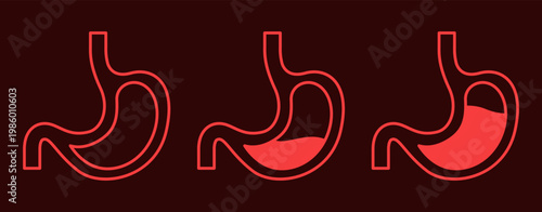 Line Art Stomach Gerd Illustration Bundle Digestive System Anatomy Outline Vector Icon Set Clean Graphic Collection