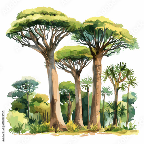 Andasibe-Mantadia NP. Andasibe-Mantadia NP hand drawn watercolor illustration on white background