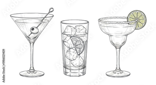 Cocktail glasses and tumbler, martini, margarita, drinkware set, vector
