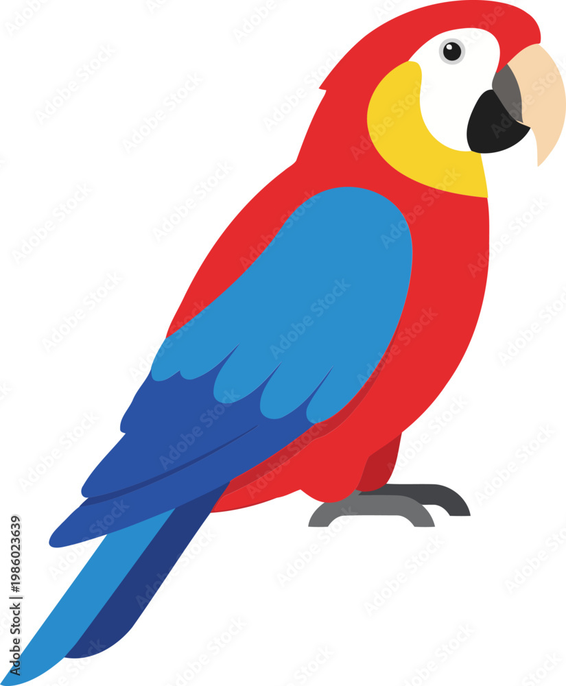 Fototapeta premium Colorful parrot with red body blue wings and tail yellow