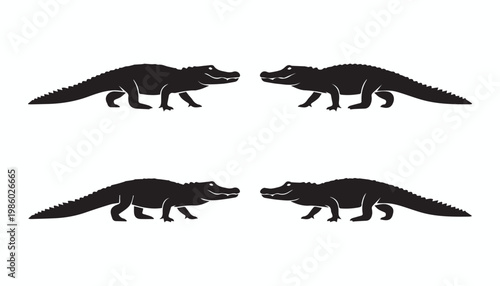 black and white silhouette set of crocodile very high quality vector illustration.