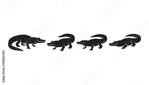 black and white silhouette set of crocodile very high quality vector illustration.