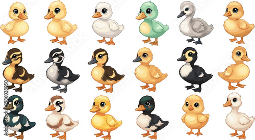 Adorable Set of 20 Ducklings and Ducks in Different Colors and Poses for Farm, Animal, and Wildlife-Themed Illustrations