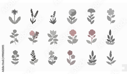 Wildflower icon set – thin line botanical plants and flowers vector