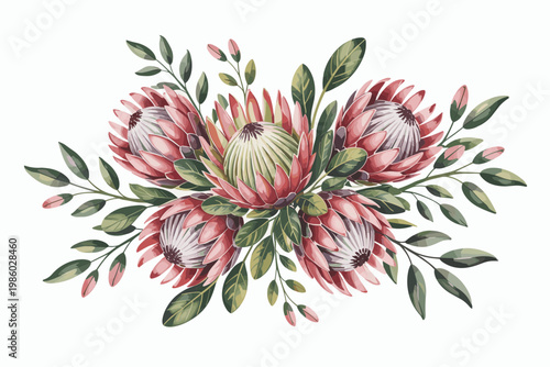 Watercolor King Protea Floral Arrangement Soft Pink and Green Botanical Design