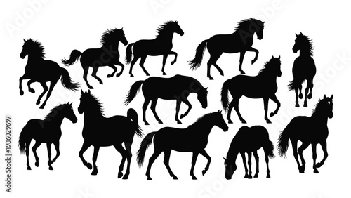 A collection of black silhouettes depicting various horse poses and activities high quality professional detailed modern