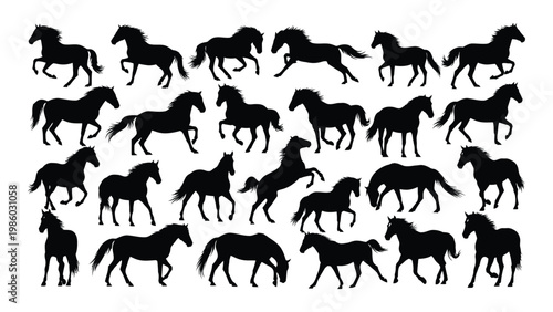 A collection of black silhouettes depicts various horses in different poses and gaits high quality professional