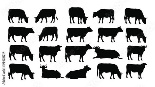 A collection of black silhouettes depicting various poses of grazing and resting cattle high quality professional