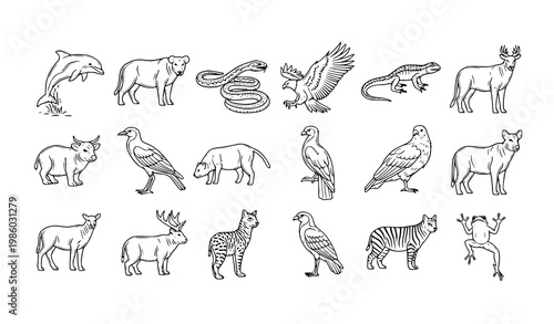 Animal grid vector black white mammals reptiles birds amphibians set