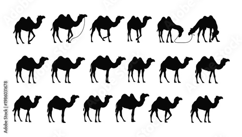 A collection of black silhouette images depicting various poses of dromedary camels in a linear arrangement