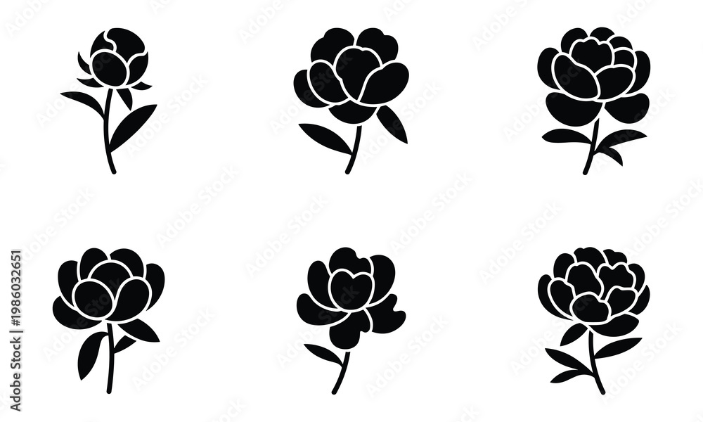 Fototapeta premium Set of six black silhouette peony flower buds and closed blooms vector illustration