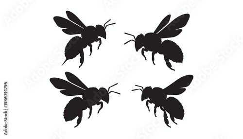 black and white silhouette set of bee very high quality vector illustration.