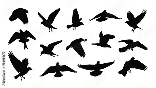 A collection of black silhouettes depicting various birds in flight and perched positions high quality professional