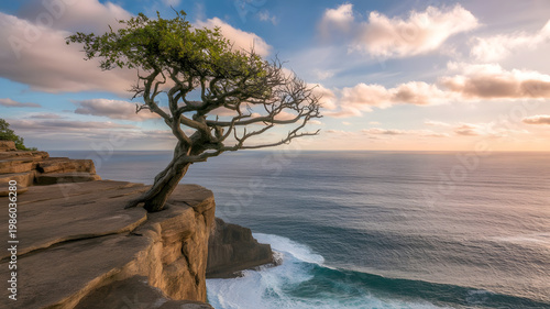 A tree that fights for life on a rock, A beautiful wallpaper with sea and blue sky.