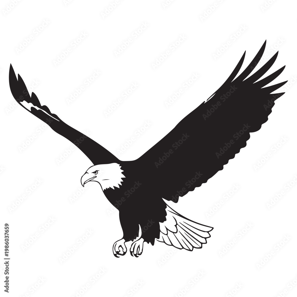 Fototapeta premium Bald eagle flying with wings spread black and white vector illustration for patriotic emblem or wildlife logo