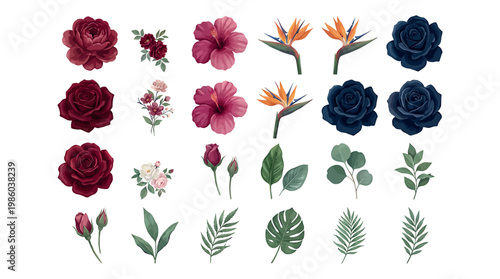 A vibrant collection of diverse floral illustrations, showcasing various types of blooms and foliage