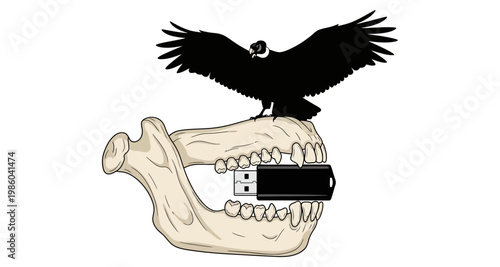 Bird perched on jawbone with USB drive in mouth against white background silhouette