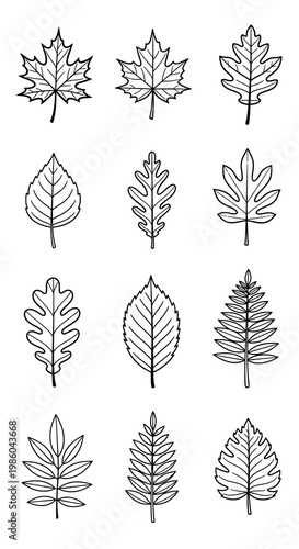 Diverse Collection of Hand-Drawn Outline Leaves, Tree Foliage Vector Set