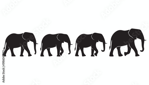 black and white silhouette set of elephant very high quality vector illustration.