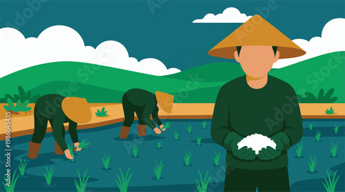Farmers planting and harvesting rice in a paddy field illustration
