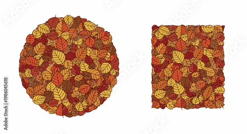 Circle and square shapes filled with autumn leaves