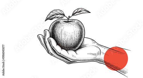 Detailed engraving-style illustration of a hand carefully holding a fresh apple with leaves, with a red circle in the background.