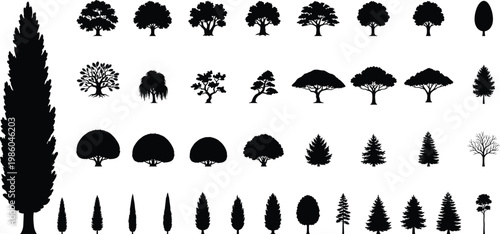Collection of tree silhouettes set, various forest and garden trees including pine, oak and cypress, black vector icons for landscape design, nature, environment and illustration