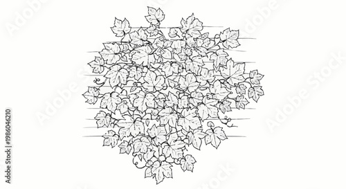 A dense cluster of stylized, hand-drawn leaves and vines with horizontal lines