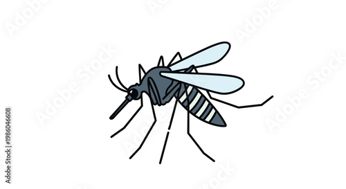 Detailed illustration of a mosquito insect isolated on a white background commonly known as a carrier of various tropical diseases.