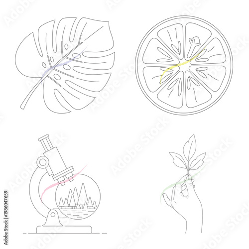 Large leaf with holes lemon slice microscope showing landscape hand holding leaf with wavy lines