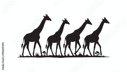 black and white silhouette set of giraffe very high quality vector illustration.