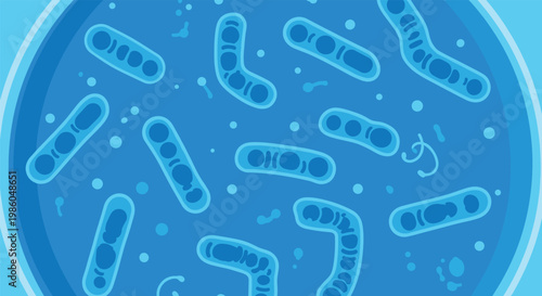 Microscopic view of various blue bacteria and microorganisms floating in a liquid environment representing microbiology or disease research.
