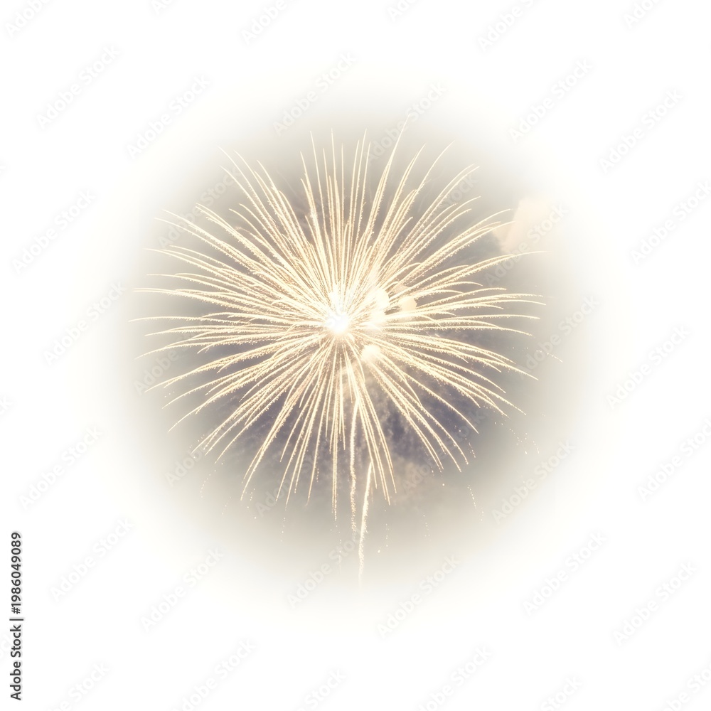 Obraz premium Bright Firework Burst Over Cloudy Night Sky