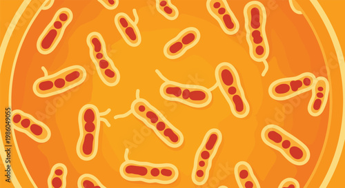 Microscopic view of multiple red and yellow bacteria or microorganisms floating in an orange liquid environment for medical study.